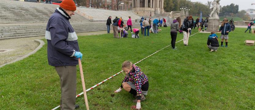 Wybór dla Szczecina