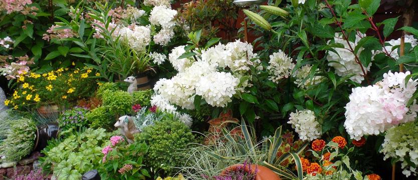 Ostatnie dni na zgłoszenia!