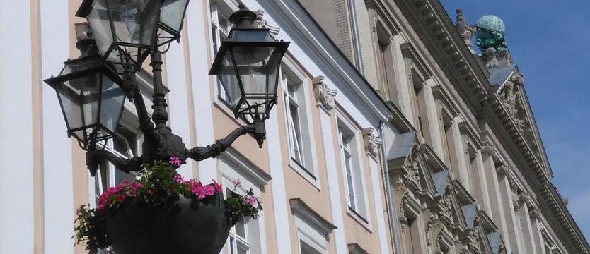 Kwiaty na wysokościach