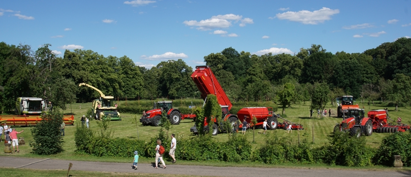 Brandenburgia świętuje na festynach
