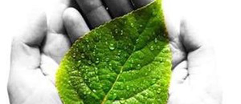 Dzień Ochrony Środowiska. Warto przyjść!