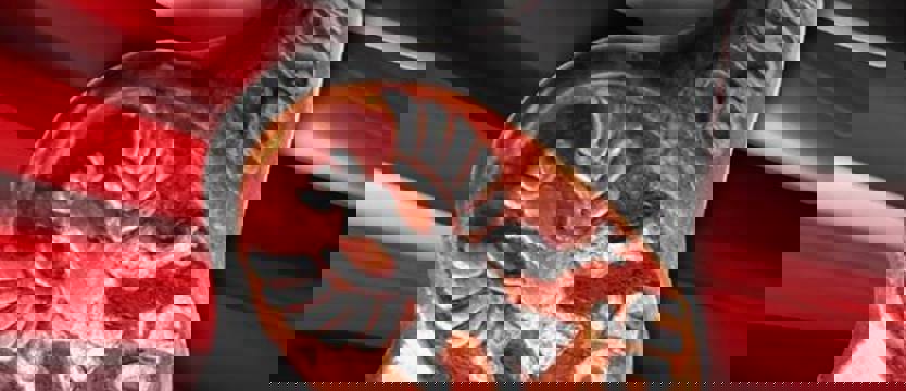 Poszukują ofiar terroru