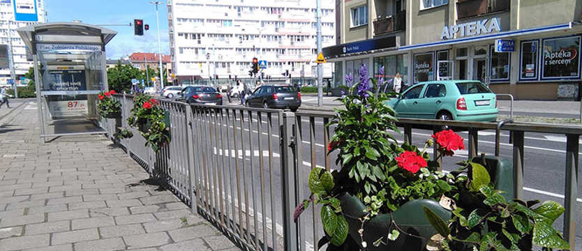 Przystanek w kwiatach
