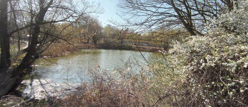 Mglista perspektywa dla szczecińskich Bliźniaków. Stan (fatalnego) zaniedbania