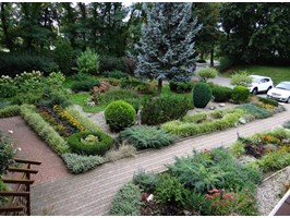 Mały ogród – wielka korzyść. Nowy zielony konkurs dla szczecińskich szkół