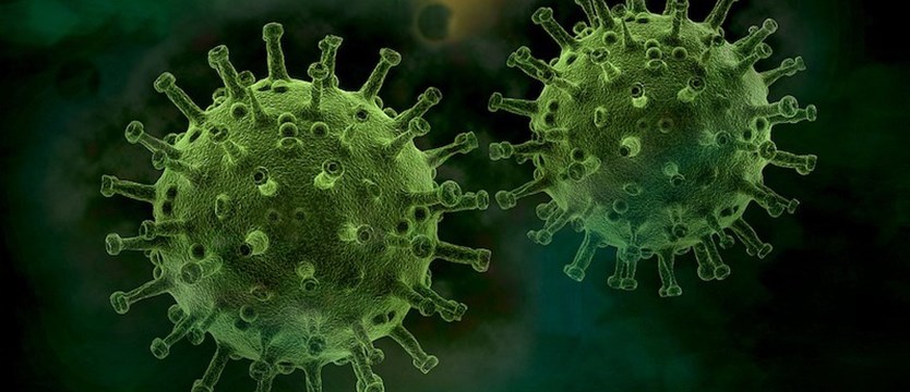 Naukowcy: indyjski wariant wirusa może być o 50 proc. bardziej zakaźny