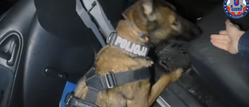 Węza podjęła trop. Policja złapała 30-latka, który oddalił się po kolizji