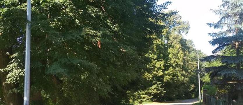 Pojaśniało na Polarnej