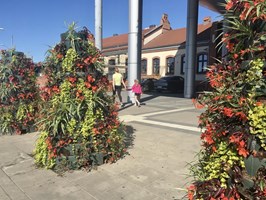 Kwiatowe wieże ozdobą Szczecina