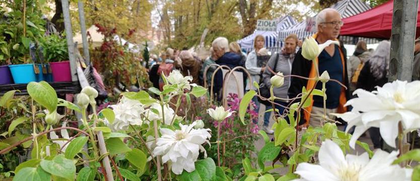 Wały Chrobrego, ogrody i smaki w jesiennym klimacie