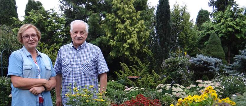 Cały Szczecin w kwiatach. Ogród nie spod linijki