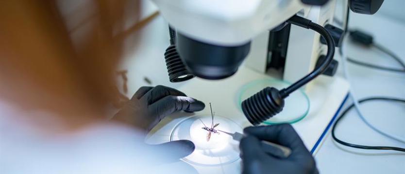 Karmy dla zwierząt z owadzim białkiem. Planują budowę kolejnego zakładu