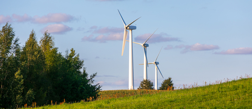 Wiatr na lądzie napędza polski przemysł - buduje krajowy łańcuch dostaw i wzmacnia lokalną gospodarkę
