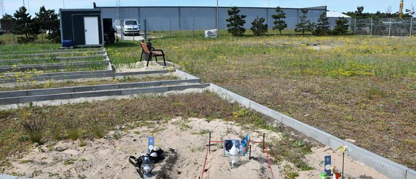 Grzebowisko w Świnoujściu. Tu pochowasz swojego pupila