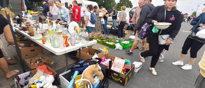 Pchli Targ w Stargardzie przyciąga wystawców z całej Polski