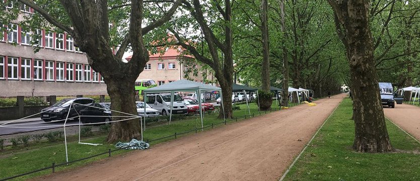 Przygotowania Pod Platanami