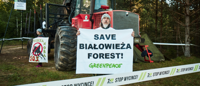 Szyszko: Puszczę Białowieską bezprawnie wpisano na listę dziedzictwa