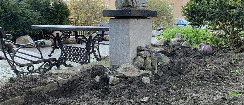 Dziki terroryzują mieszkańców