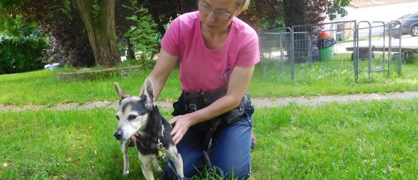 Maleńka Gienia szuka domu