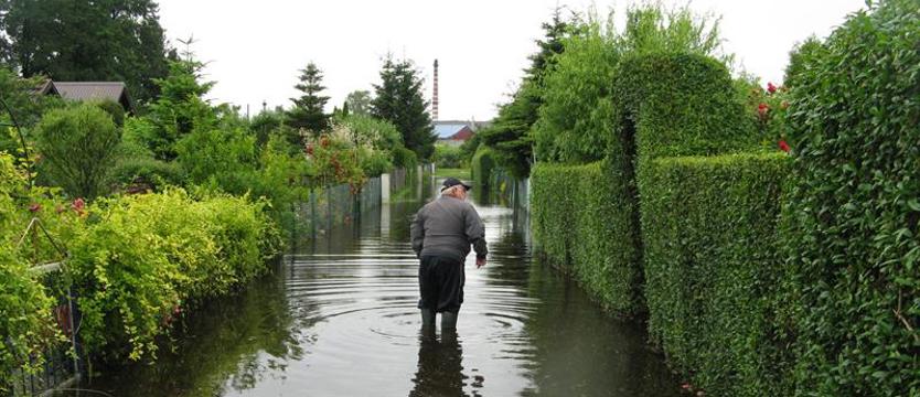 Trzeba pomóc działkowcom