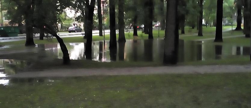 Dlaczego park tonie?