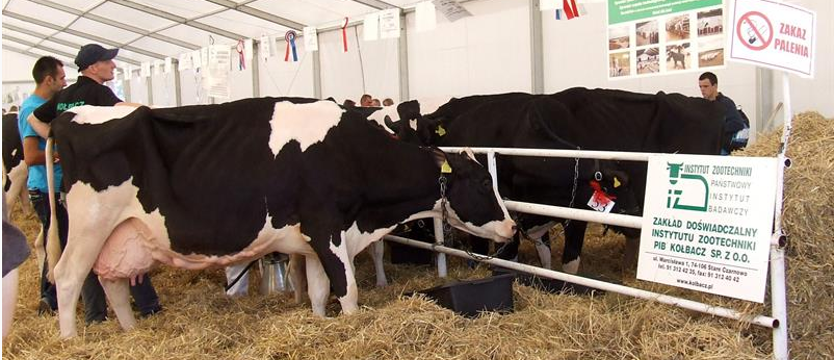 Prawo wodne – oby nasze portfele wytrzymały