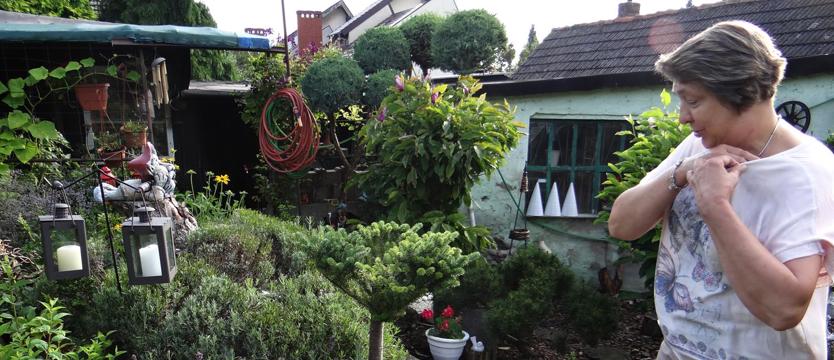 Wśród lilii, hortensji i lawendy