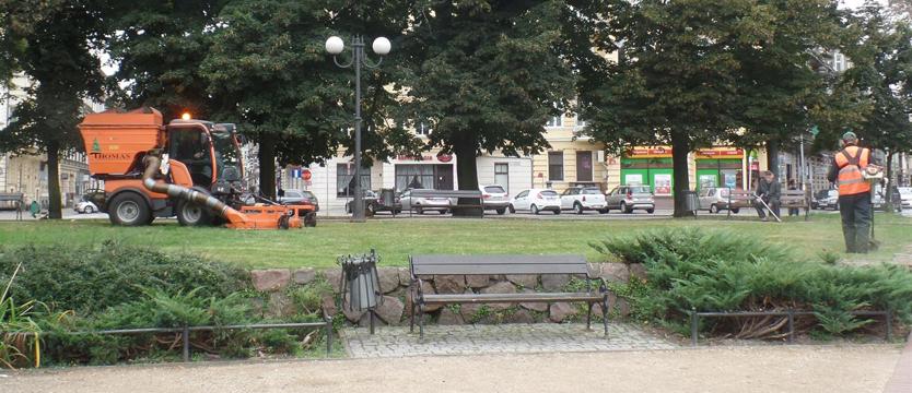 Dbają o zielone