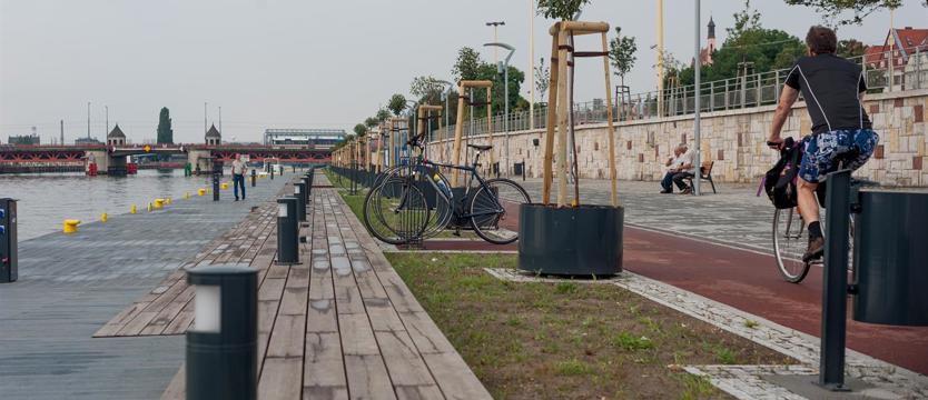 Katalog wyeliminuje chaos?