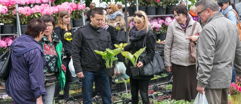 Kierunek na Wały Chrobrego