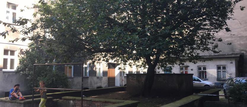 Gry i zabawy podwórkowe