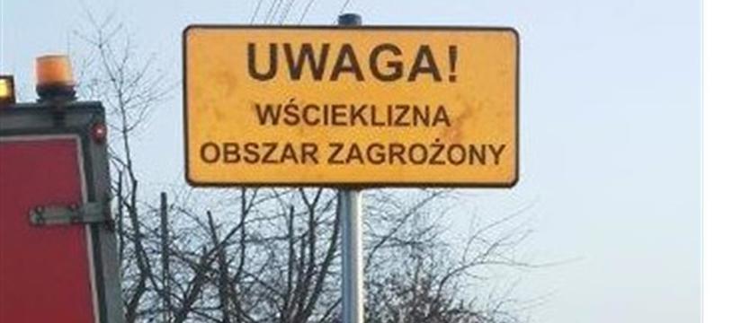 Szczecinek zagrożony wścieklizną