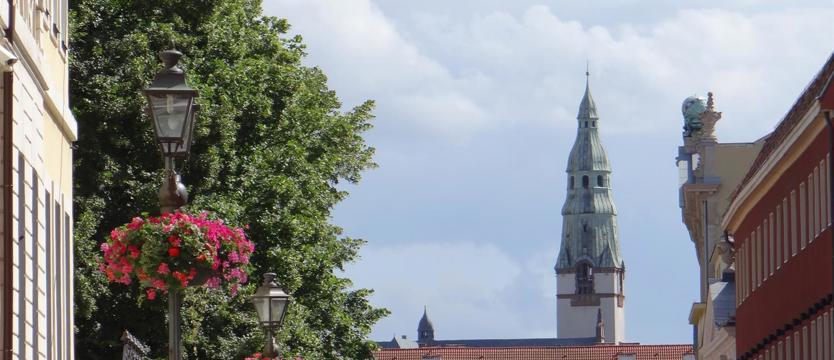 Jak podzielić „zielony tort"