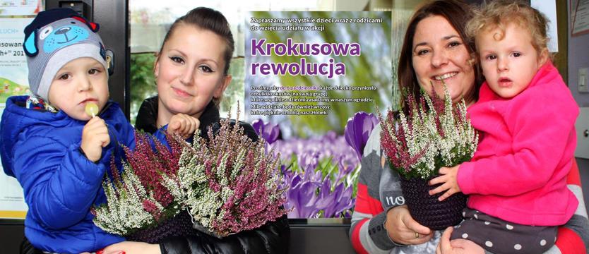 Krokusowa rewolucja. Zaczynamy i zapraszamy!