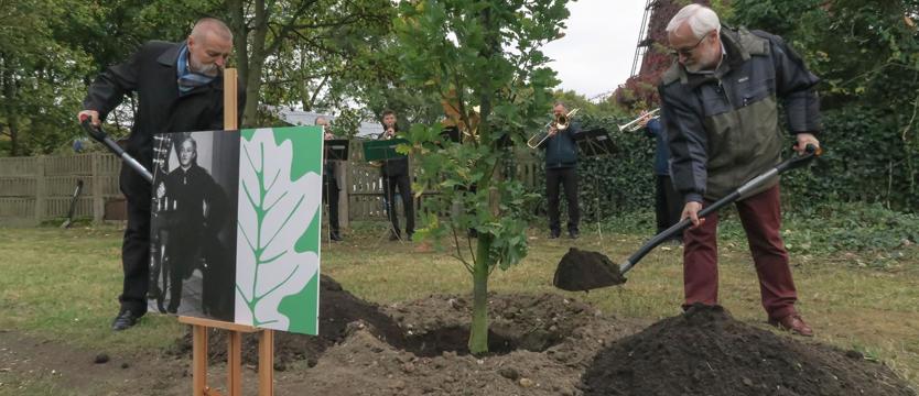 Posadzą Drzewka Pamięci