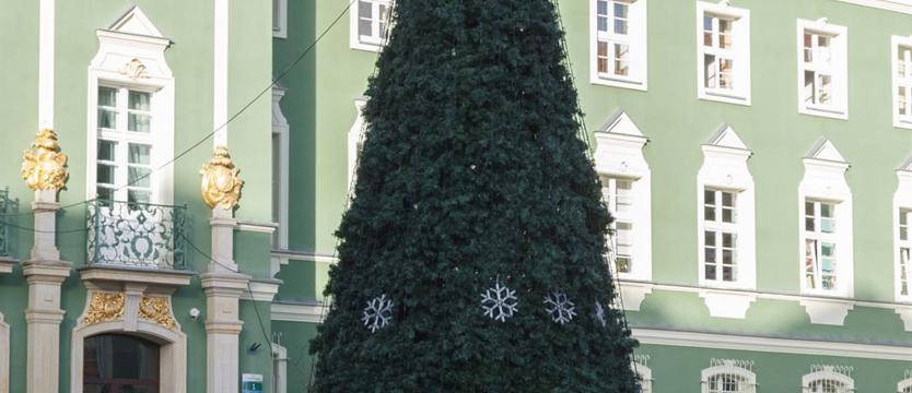 Przed magistratem stanęła choinka