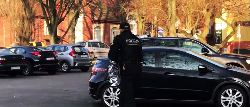 Pies spadł z czwartego piętra