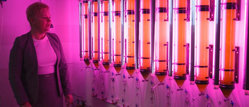 Laboratorium odnawialnych źródeł energii w ZUT