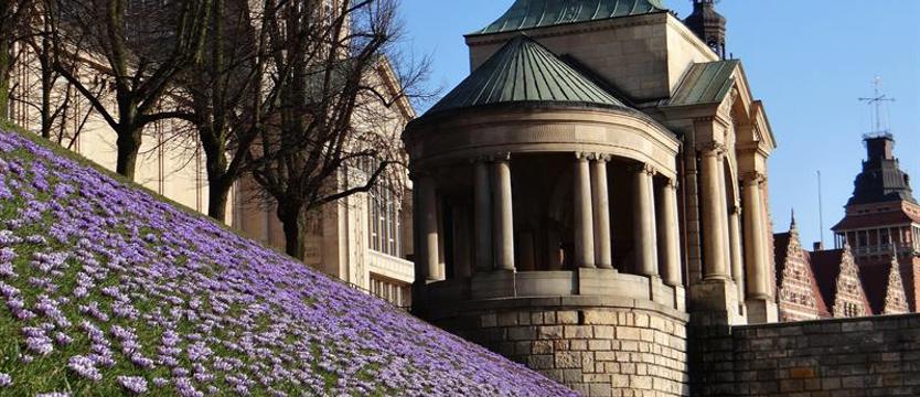 Głosuj na krokusowe kadry!