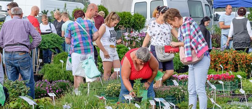 Barzkowice zapraszają