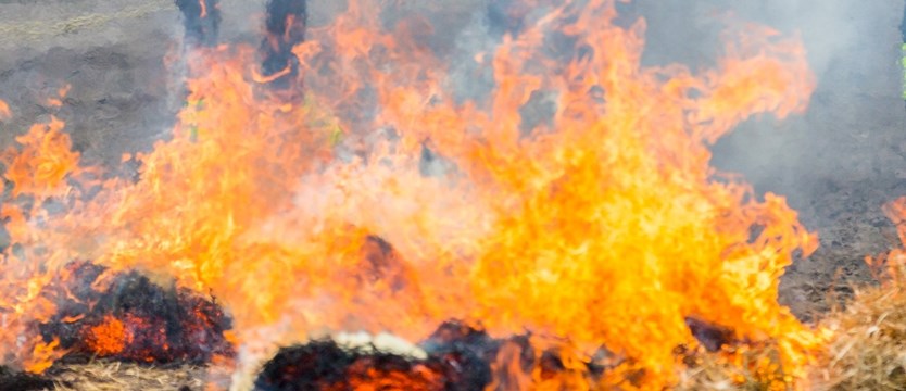 Spłonęło pół hektara lasu w Załomiu