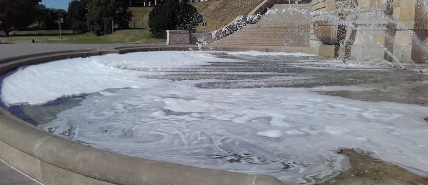 Wlali do fontanny 6 litrów płynu do mycia naczyń