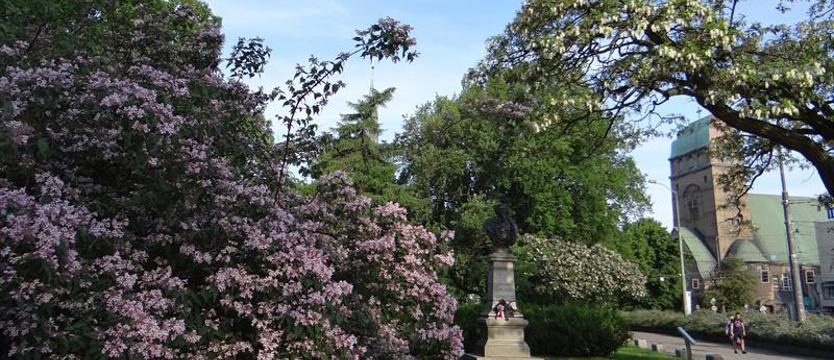 W pewnej perspektywie