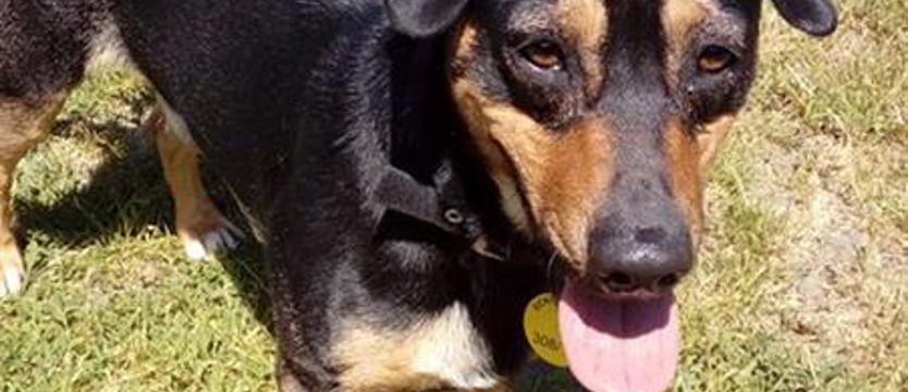 Ben, czyli żywe srebro