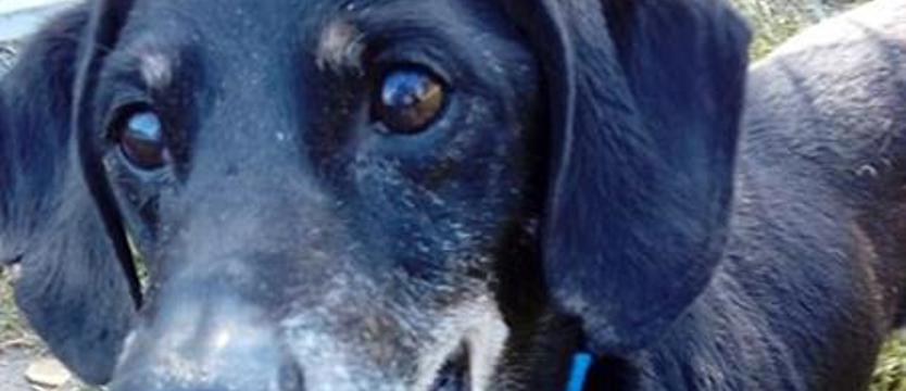 Maluch nie dla maluchów