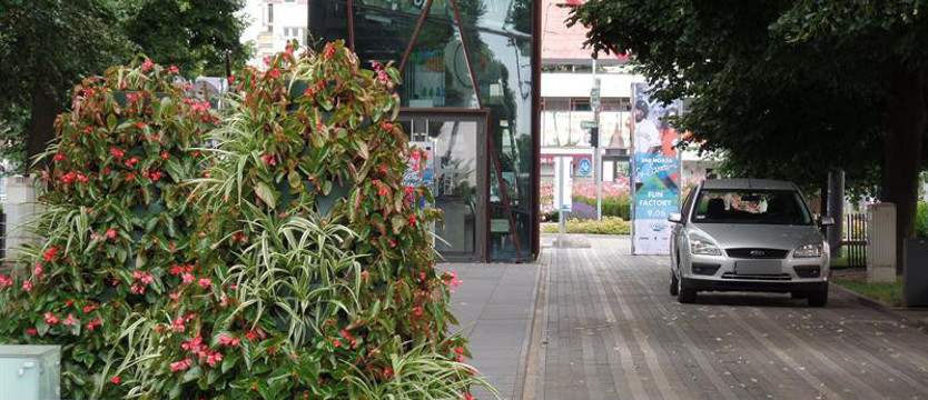 Kreatywne parkowanie w alei