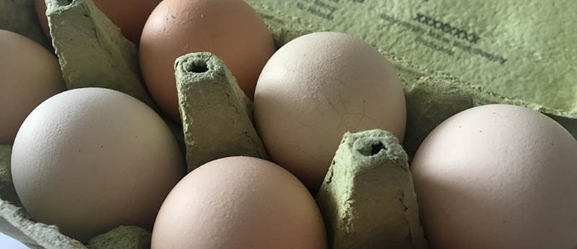 Jaja z antybiotykami. Ostrzeżenie dla konsumentów