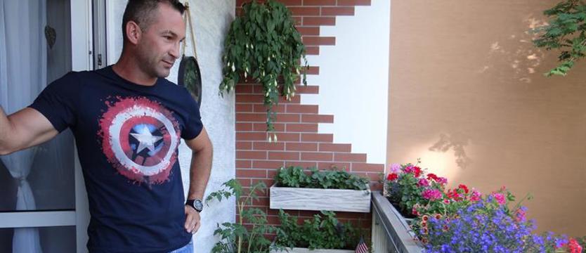 Cały Szczecin w kwiatach. Krwisty baron na balkonie