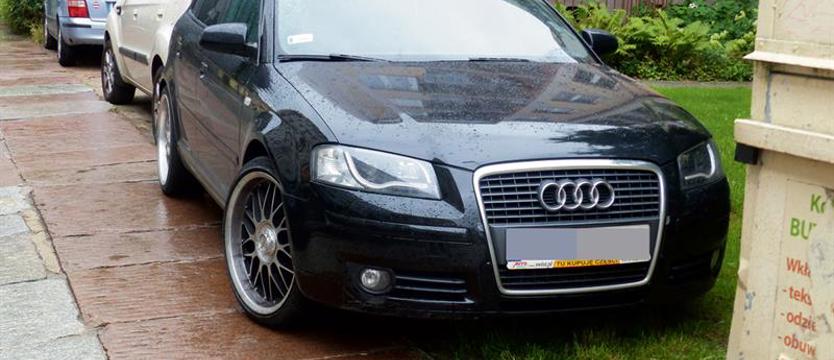 Rozjeżdżanie zieleni