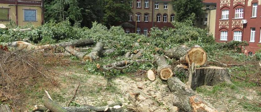 Padły (niemal) wszystkie